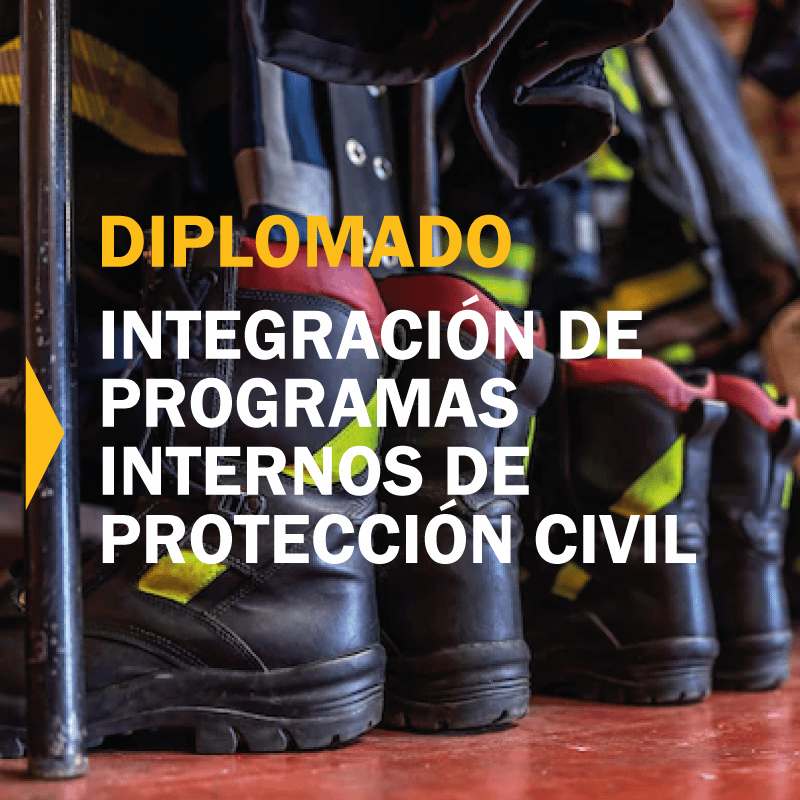 Diplomado En Integraci N De Programas Internos De Protecci N Civil