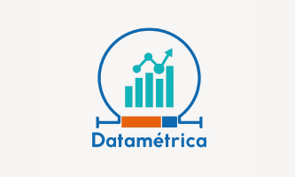 logo datametrica