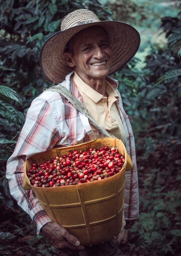 vertical shot hispanic male carrying basket with cherry red coffee beans 181624 57481